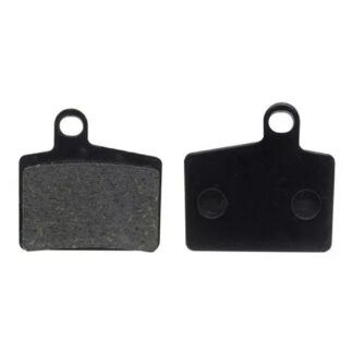 PASTILHA XTR2011/HAYES ABSOLUT 42999