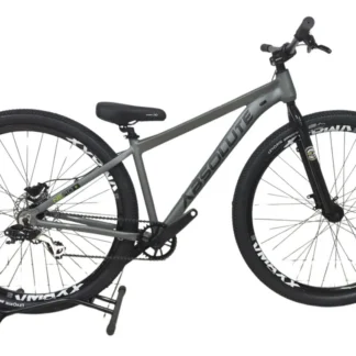 QDRO 29 NINE 15 ABSOLUTE DISC