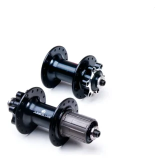 QDRO 29 NINE 21 ABSOLUTE DISC