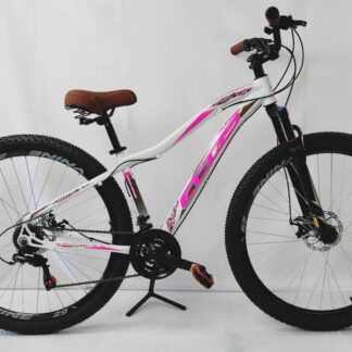 29 BIC. AGILE ECOS T15¨P FEM.