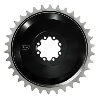 PARAF COROA ICTUS (5PÇ) 2122