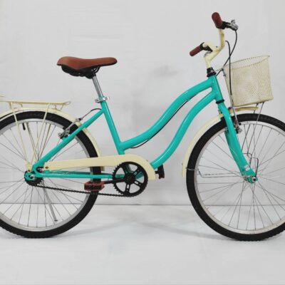 24 BIC. AGILE JAD VERDE/BEGE (CECI)