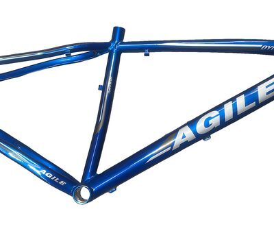 QUADRO 29 AGILE 17