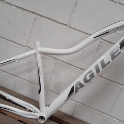 QUADRO 29 AGILE 15¨ FEMEN.