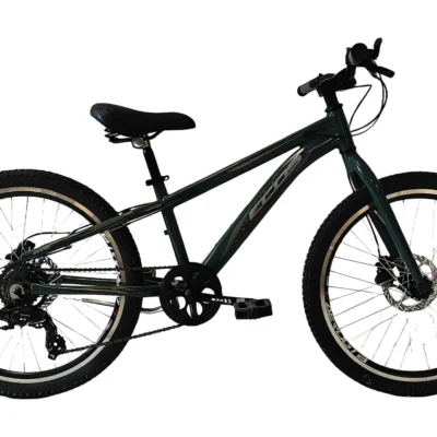 BICICLETA 24 AGILE ECOS ALUM. 7V